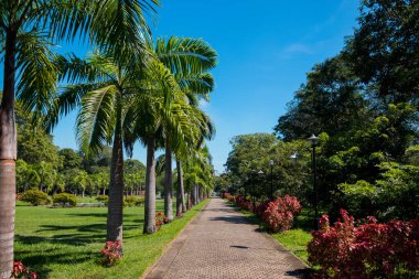 Colombo, Sri Lanka 'nın manzarası