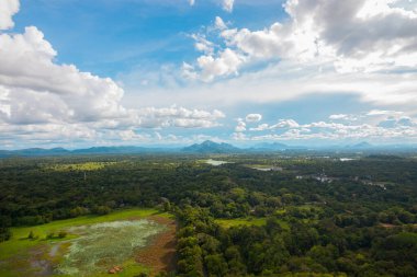 Sri Lanka 'daki Sigirya Milli Parkı