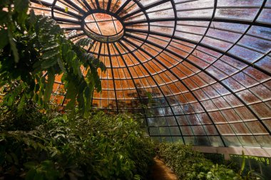 Kandy, Sri Lanka 'nın manzarası