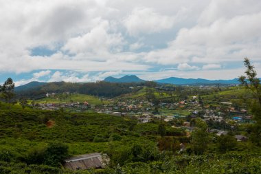 Sri Lanka doğasının nefes kesici manzarası