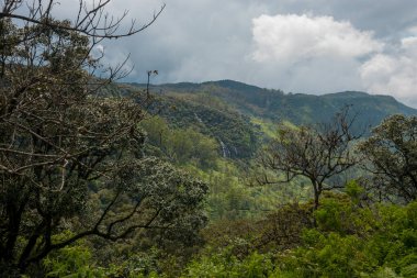 Sri Lanka doğasının nefes kesici manzarası