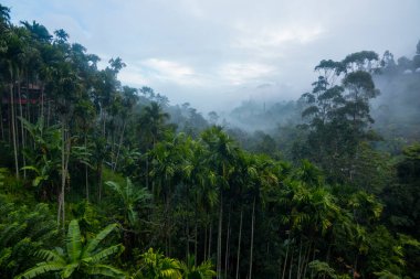 Ella, Sri Lanka 'da dokuz kemer köprüsü