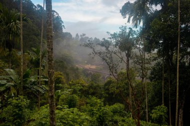 Ella, Sri Lanka 'da dokuz kemer köprüsü