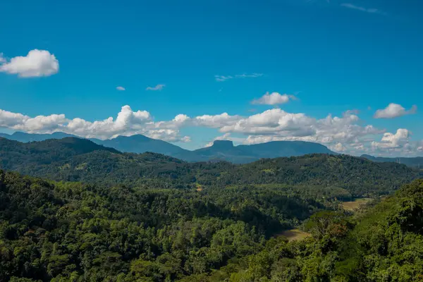 Sri Lanka doğasının nefes kesici manzarası