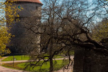 Tallinn, Estonya 'nın sokakları ve bakış açıları