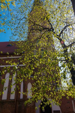 Kaunas sokakları, Litvanya