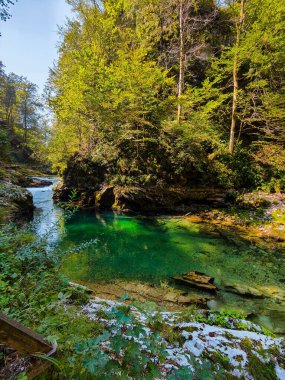 Vintgar nehri kanyonu, Kanlı, Slovenya güneşli bir günde