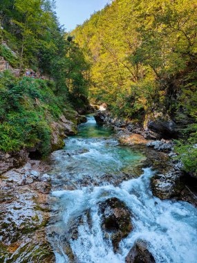 Vintgar nehri kanyonu, Kanlı, Slovenya güneşli bir günde