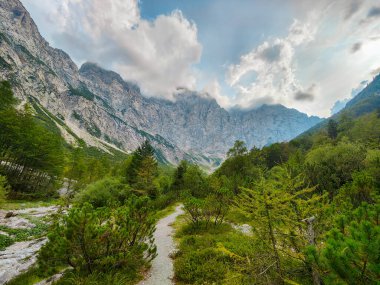 Slovenya 'daki Triglav ulusal parkının zirvesine giden yürüyüş yolu