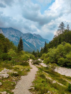 Slovenya 'daki Triglav ulusal parkının zirvesine giden yürüyüş yolu