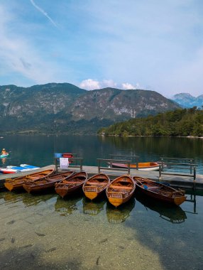 Slovenya 'daki Bohinj Gölü Panoraması
