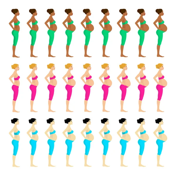 怀孕的女人怀孕阶段 不同种族的怀孕少女的腹部发育 — 图库矢量图片