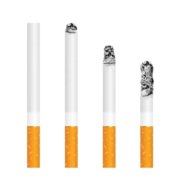 Set Zigaretten Mit Asche Verschiedenen Stadien Der Verbrennung Illustration Des — Stockvektor