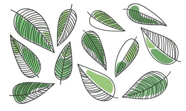 Set of hand drawn doodle leaves. Outline tree leaf with abstract green shapes. Vector illustration