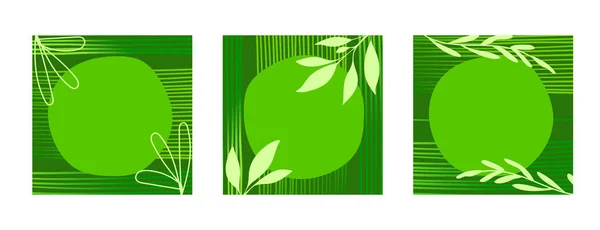 Набор Зеленых Плакатов Зеленым Фоном Листьями Веточками Растениями Травинками Полосками — стоковый вектор