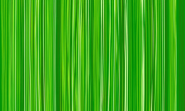 Grass Background Nature Green Texture Long Vertical Blades Grass Natural — Stock Vector