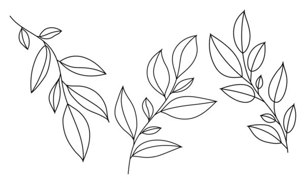 Linienkunstzweige Mit Blättern Setzen Handgezeichnetes Blatt Umreißen Vektorillustration — Stockvektor