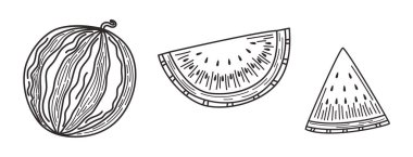 El yapımı karpuz çizimi. Tam meyve ve dilimler. Klasik eskiz stili. Etiketler, ambalajlar, baskılar veya yaz temalı tasarım için. Vektör illüstrasyonu