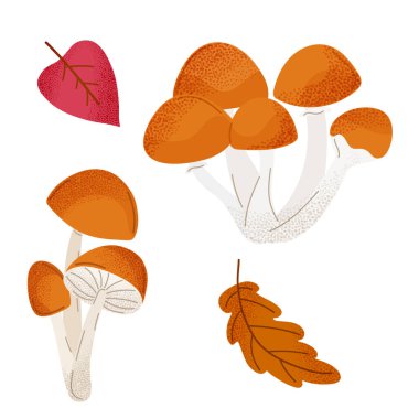 Turuncu ballı mantar ve renkli yapraklar. Doğa için sonbahar tasarımı, mevsimlik baskılar ve orman temalı dekorasyon. Vektör illüstrasyonu