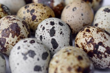 Çiğ bıldırcın yumurtalarının yakın görüntüsü. Yüksek proteinli zengin yiyecekler.