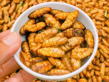 Bir tabak kızarmış ipek böceği pupası. Yakından bakıldığında geleneksel bir atıştırmalık.