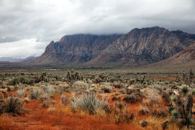 Güney Nevada, ABD 'deki çöl manzarası, doğa konseptinde seyahat yeri ve güzellik - görüntü