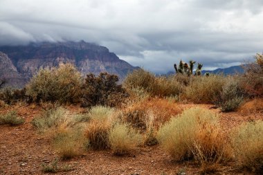 Las Vegas yakınlarındaki Nevada 'da Red Rock Kanyonu, Amerika' da seyahat ve yürüyüş eğlence konsepti, ABD - Görüntü