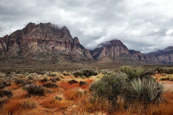 Las Vegas yakınlarındaki Güney Nevada 'daki çöl manzarası, seyahat güzergahı ve doğa konseptine yürüyüş - görüntü