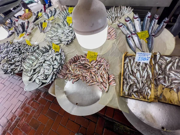 许多海底低音 沙丁鱼 比目鱼 骡子的高角度视点 供销售 食物背景 复制空间 伊斯坦布尔市场的鲜鱼摊位 土耳其文海鲜价格标签 — 图库照片