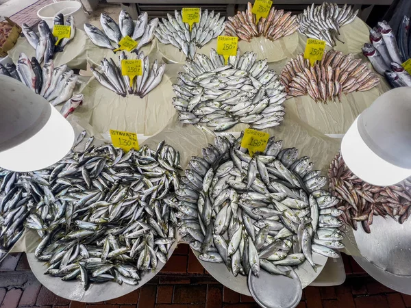 Fresh fish stall at the market in Istanbul. Seafood price tags in Turkish language. High angle view on many sea bass, sardines, flounders, mullets laying on trays for sale. Food background, copy space