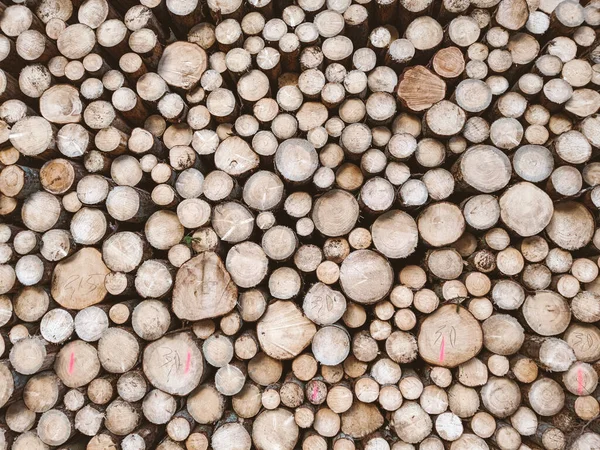 Bûches Fraîchement Coupées Texture Fond Des Arbres Abattus Déforestation Massive — Photo