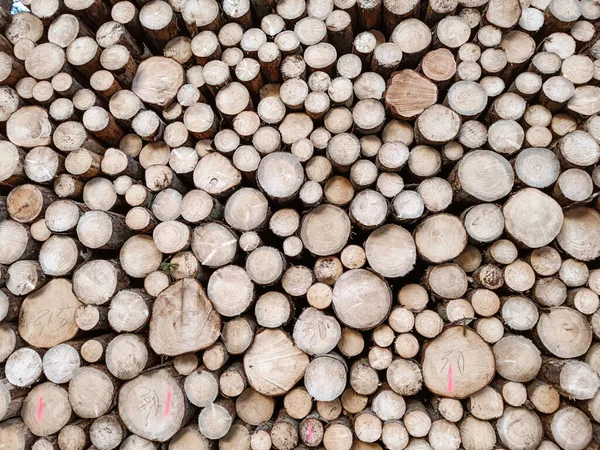 Bûches Fraîchement Coupées Texture Fond Des Arbres Abattus Déforestation Massive — Photo