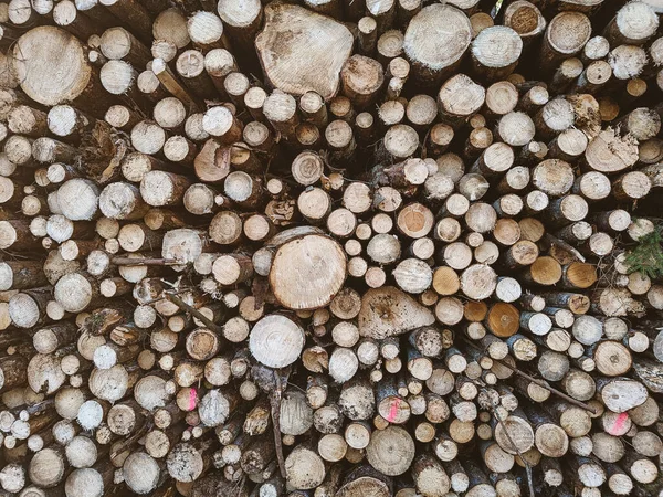 Freshly cut down wood logs. Texture and background of cut down trees. Massive deforestation. High quality photo
