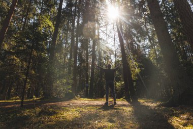 Rahatlamış bir adam ormanda kollarını açmış bekliyor. Mutlu erkek, güneşli ormanda meditasyon yapar. Doğayla aşk. Dünya günü konsepti. Yüksek kalite fotoğraf