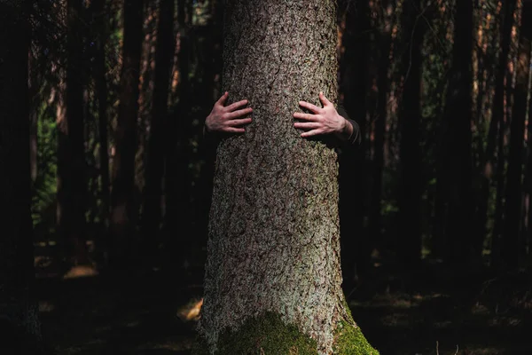 Människan Kramar Ett Träd Det Dramatiska Ljuset Vid Skogen Naturen — Stockfoto