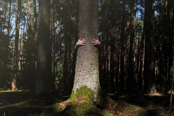 Human Hug Tree Dramatic Light Forest Nature Love Earth Day — Stock Photo, Image