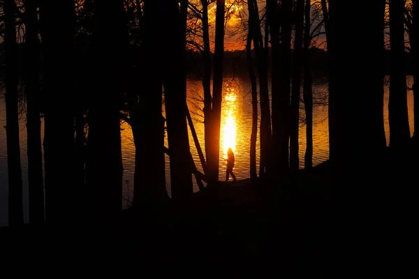 Person Standing Lake Light Sunset Surrounded Trees Negative Space Photo — Stock Photo, Image
