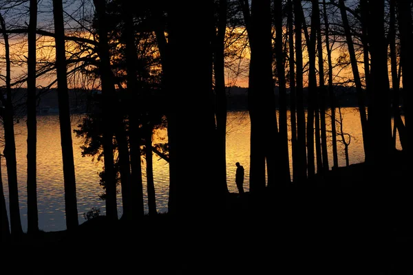 Человек Стоящий Озера Свете Заката Окруженный Деревьями Отрицательное Космическое Фото — стоковое фото