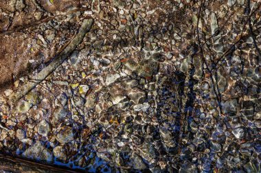 Orman kaynak suyu dokusu ve su altında küçük kayalar. Yüksek kalite fotoğraf