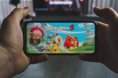 Kaunas, Litvanya - 19 Nisan 2023: Angry Birds mobil oyunu. Akıllı telefondan kızgın kuşların bakış açısı. Yüksek kalite fotoğraf
