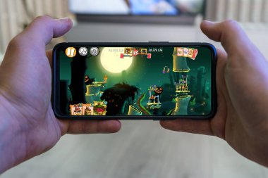 Kaunas, Litvanya - 19 Nisan 2023: Angry Birds mobil oyunu. Akıllı telefondan kızgın kuşların bakış açısı. Yüksek kalite fotoğraf
