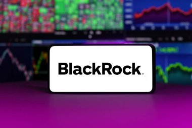 Vilnius, Litvanya - 21 Nisan 2023: Borsa haritalarının önündeki Blackrock borsa endeksi. Yüksek kalite fotoğraf