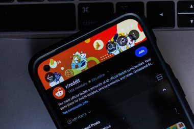 Kaunas, Litvanya - 24 Temmuz 2023: Akıllı telefondan Reddit sosyal medya uygulaması