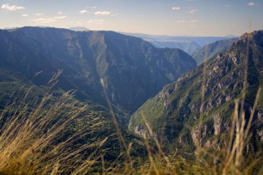 Karadağ 'daki Tara Canyon. Yüksek kalite fotoğraf