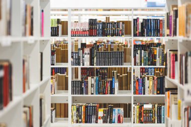 Kaunas, Litvanya - 20 Ocak 2024: Halk kütüphanesinde kitaplar. Yüksek kalite fotoğraf