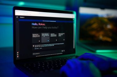 Kaunas, Litvanya - 17 Şubat 2024: İnternette Gemini Al Chatbot 'la sohbet eden adama yakın çekim. Yüksek kalite fotoğraf