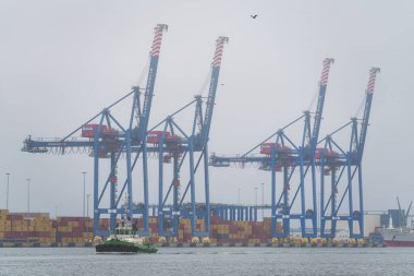 Klaipeda, Litvanya - 15 Eylül 2024: Klaipeda limanında vinçleri olan kargo konteynır terminali. Yüksek kalite fotoğraf