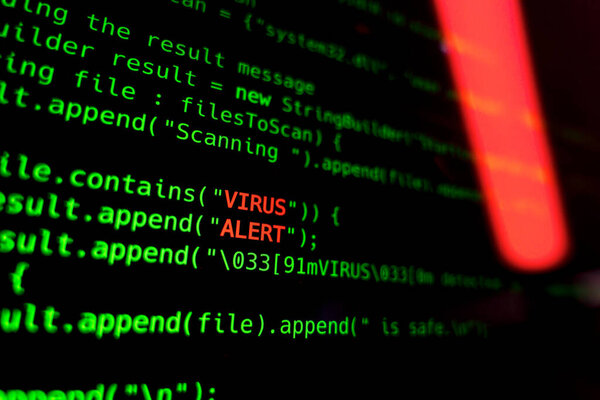 Вирус установлен в компьютерный код. Безопасность онлайн концепция. Высокое качество фото