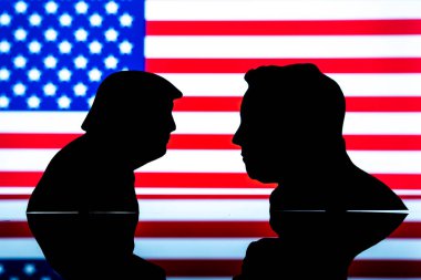 Donald Trump ve Elon Musk siluetleri Amerikan bayrağı önünde. Washington DC, ABD - 18 Kasım 2024
