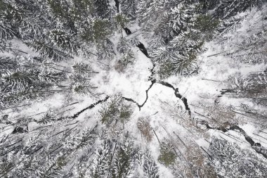 Drone 'dan kış manzaralı nehir, açık hava don ormanı manzarası. Yüksek kalite fotoğraf